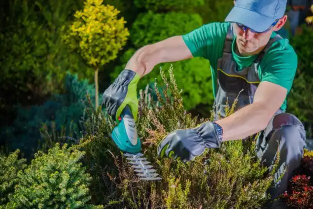 landscaping services Conesus Lake
